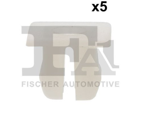 Clip, decorative/protective strip