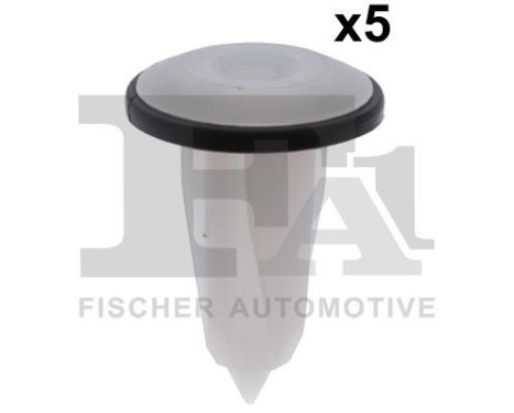 Clip, decorative/protective strip