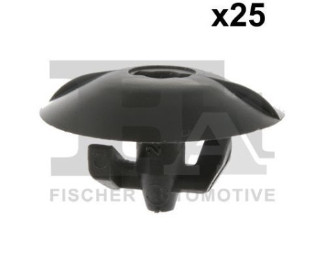 Clip, decorative/protective strip