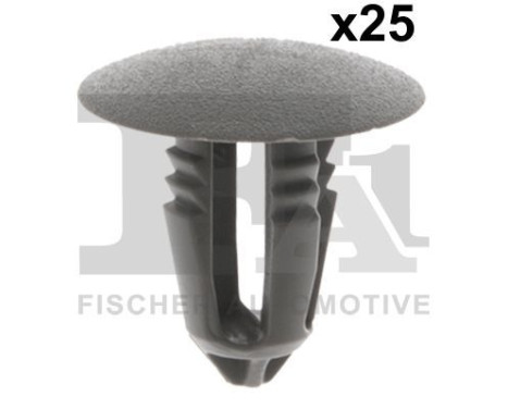 Clip, decorative/protective strip