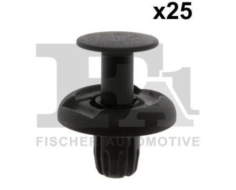 Clip, decorative/protective strip