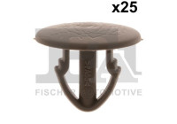 Clip, decorative/protective strip