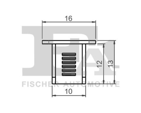 Clip, decorative/protective strip