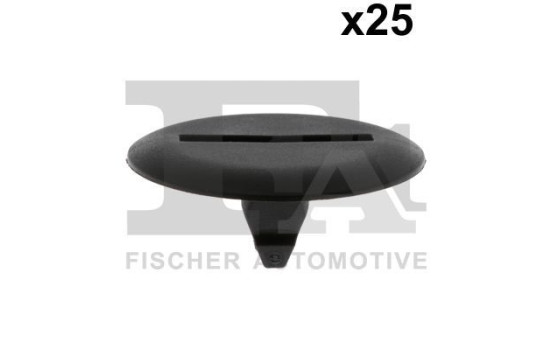 Clip, decorative/protective strip