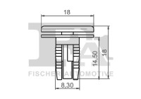 Clip, decorative/protective strip