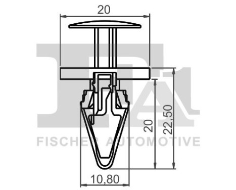 Clip, decorative/protective strip