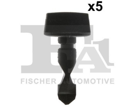 Clip, decorative/protective strip