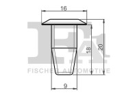 Clip, decorative/protective strip