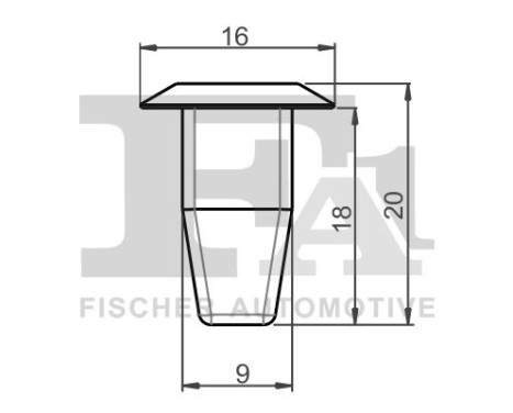 Clip, decorative/protective strip