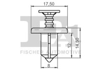 Clip, decorative/protective strip