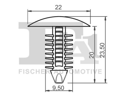 Clip, decorative/protective strip