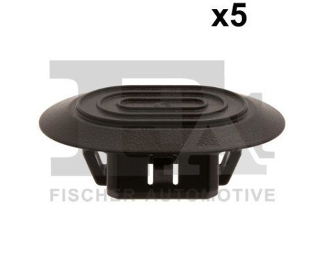 Clip, decorative/protective strip