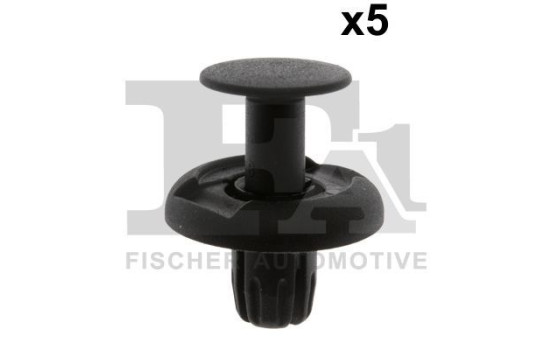 Clip, decorative/protective strip