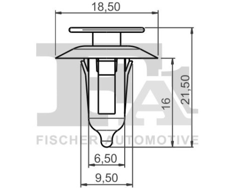 Clip, decorative/protective strip
