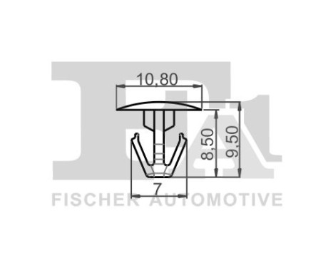 Clip, decorative/protective strip