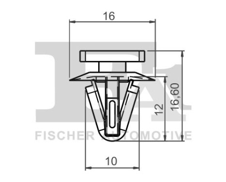 Clip, decorative/protective strip