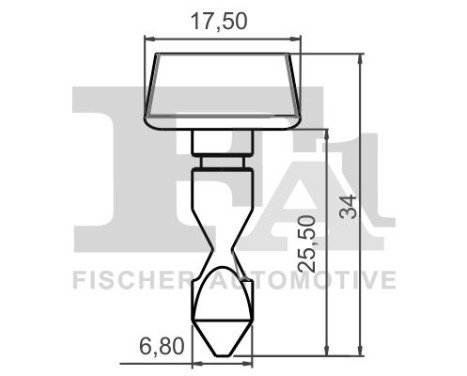 Clip, decorative/protective strip