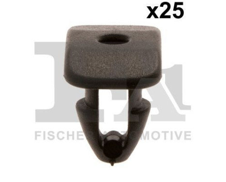 Clip, decorative/protective strip