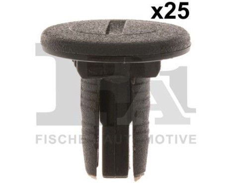 Clip, decorative/protective strip