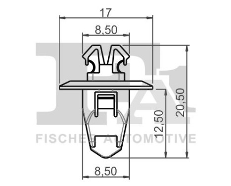 Clip, decorative/protective strip
