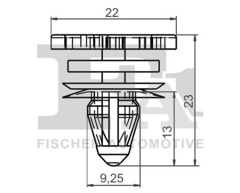 Clip, decorative/protective strip