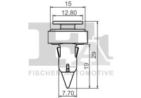 Clip, decorative/protective strip