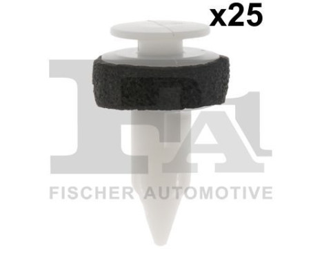 Clip, decorative/protective strip