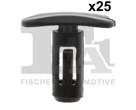 Clip, decorative/protective strip