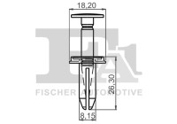 Clip, decorative/protective strip