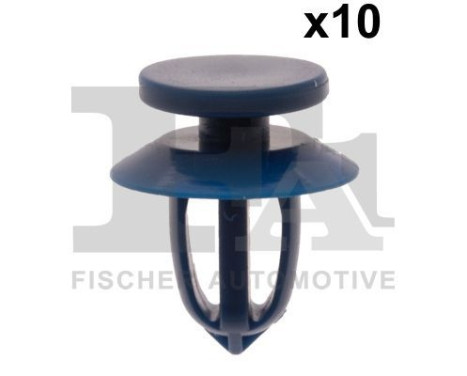 Clip, decorative/protective strip