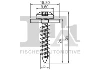 Clip, decorative/protective strip