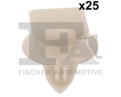 Clip, decorative/protective strip