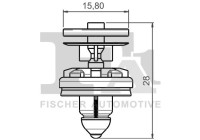 Clip, decorative/protective strip