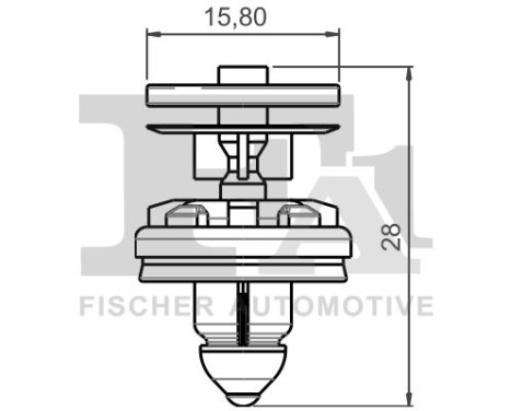 Clip, decorative/protective strip