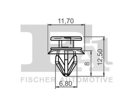 Clip, decorative/protective strip