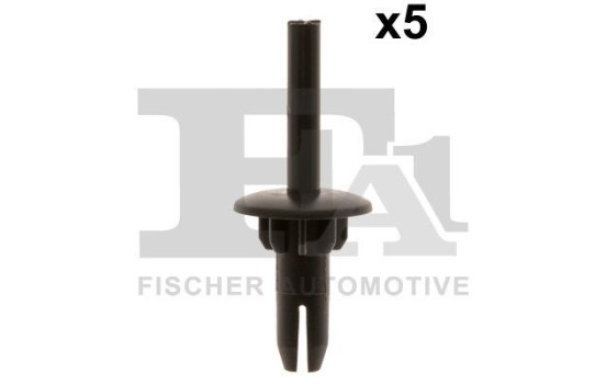 Clip, decorative/protective strip