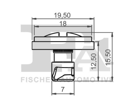 Clip, decorative/protective strip
