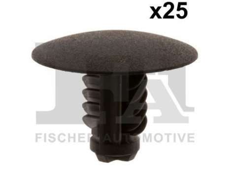 Clip, decorative/protective strip