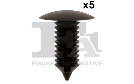 Clip, decorative/protective strip