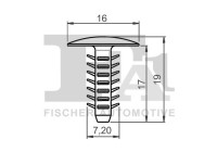 Clip, decorative/protective strip