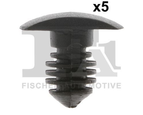 Clip, decorative/protective strip