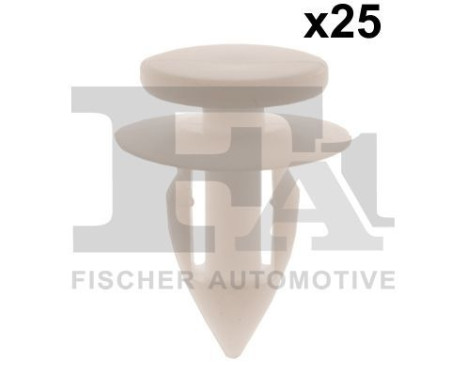 Clip, decorative/protective strip