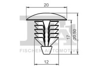 Clip, decorative/protective strip