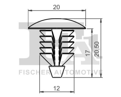 Clip, decorative/protective strip