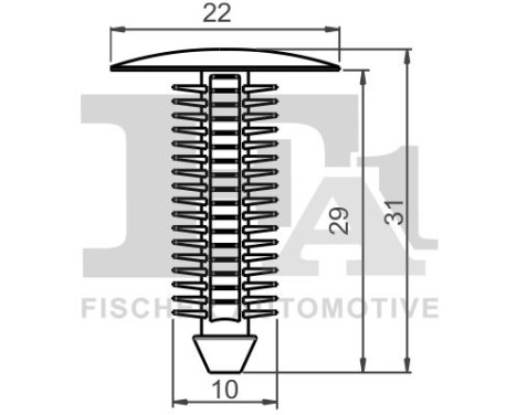 Clip, decorative/protective strip