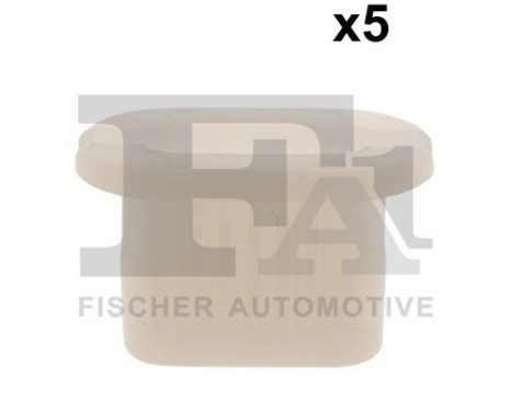 Clip, decorative/protective strip