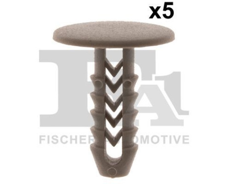 Clip, decorative/protective strip