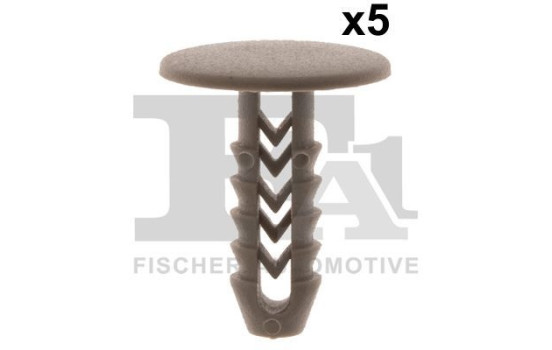 Clip, decorative/protective strip