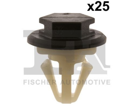 Clip, decorative/protective strip