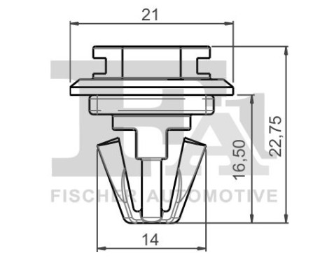 Clip, decorative/protective strip